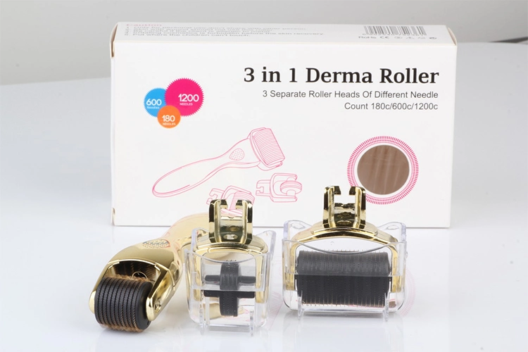 OEM / ODM merek khusus 3 In 1 Drs Derma Roller Untuk Anti Aging Stainless Steel Titanium 2